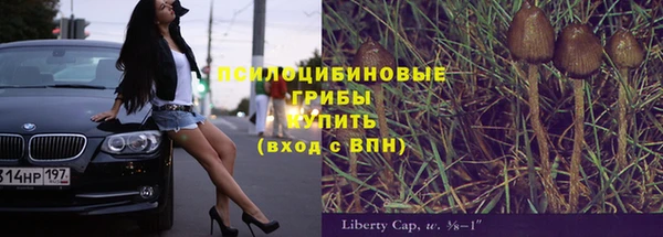 прущая мука Богородицк